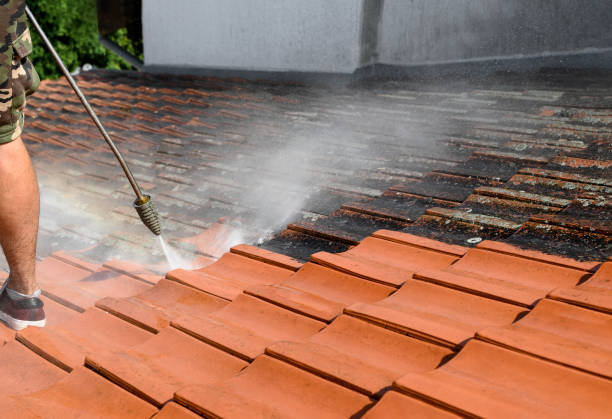 Best Affordable Pressure Washing  in Forest Park, IL