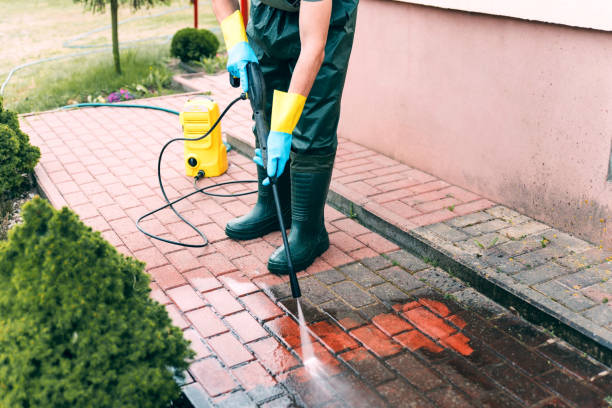 Best Commercial Building Pressure Washing  in Forest Park, IL