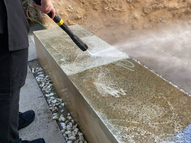 Best Pressure Washing Company Near Me  in Forest Park, IL